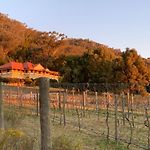 Mudgee Homestead Guesthouse