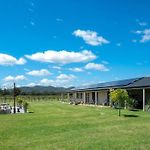 \'Vineyard Cottage\' A Golden Escape Among The Vines