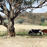 Canguri Boutique - A Memorable Farmstay Near Mudgee