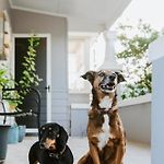 The Birdhouse - Your Well-Deserved Country Retreat
