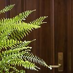 The Parkview Boutique Hotel