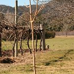 The Farmhouse At Blue Wren