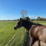 Almas Mudgee
