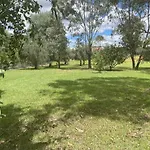 Almas Mudgee