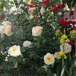 Adorable 1-Bedroom Kuzman Guesthouse