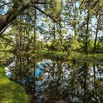 \'Bear Cottage\' An Eco Escape In The Hills Of Riverlea