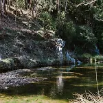 Holiday home Seven Tree Hill - An Enchanting Family Homestead Mudgee