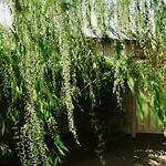 Denison At The Willows - Tranquil Country Retreat