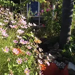 The Millers Cottage Urban Farmstay