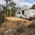 The Palace Caravan