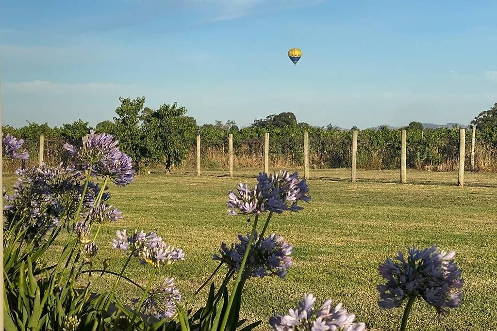 Holiday home 'vineyard Cottage' A Golden Escape Among The Vines *