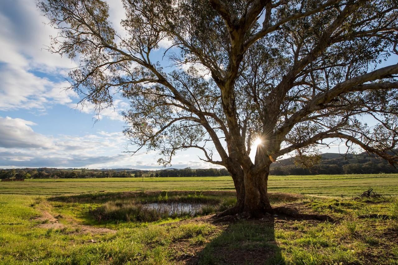 Beaudesert *