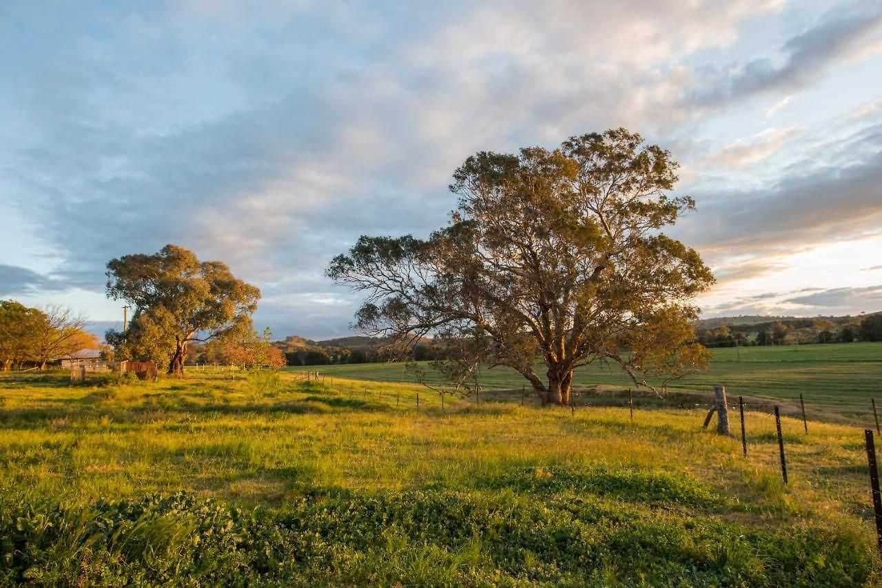 Beaudesert Holiday home *