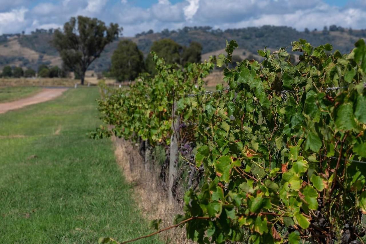 Holiday home 'orana Grove' Reset At A Vineyard Getaway