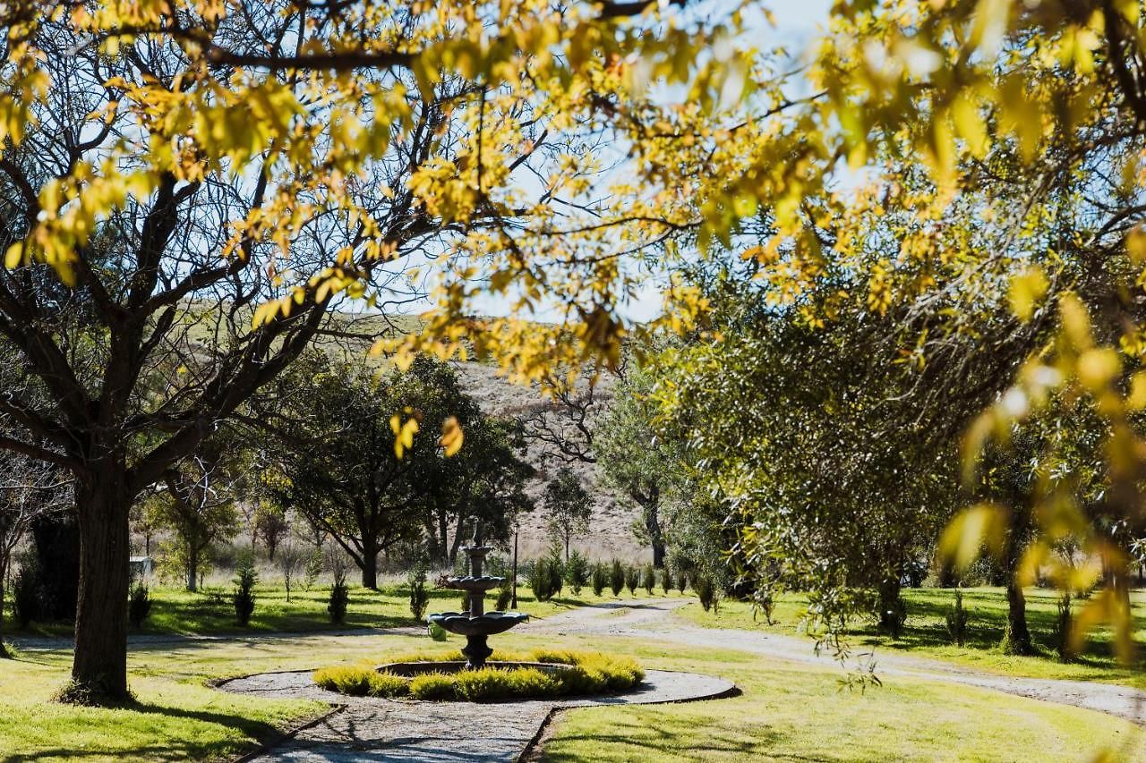 Enfield House 4* Mudgee