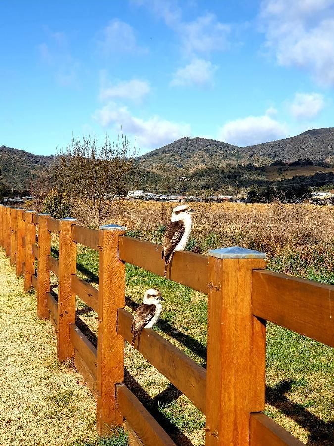 Farm stay Dangerfield Oaks Boutique Cottage's