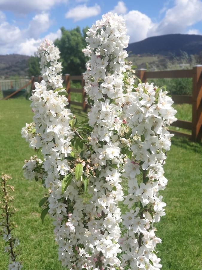Dangerfield Oaks Boutique Cottage's Farm stay