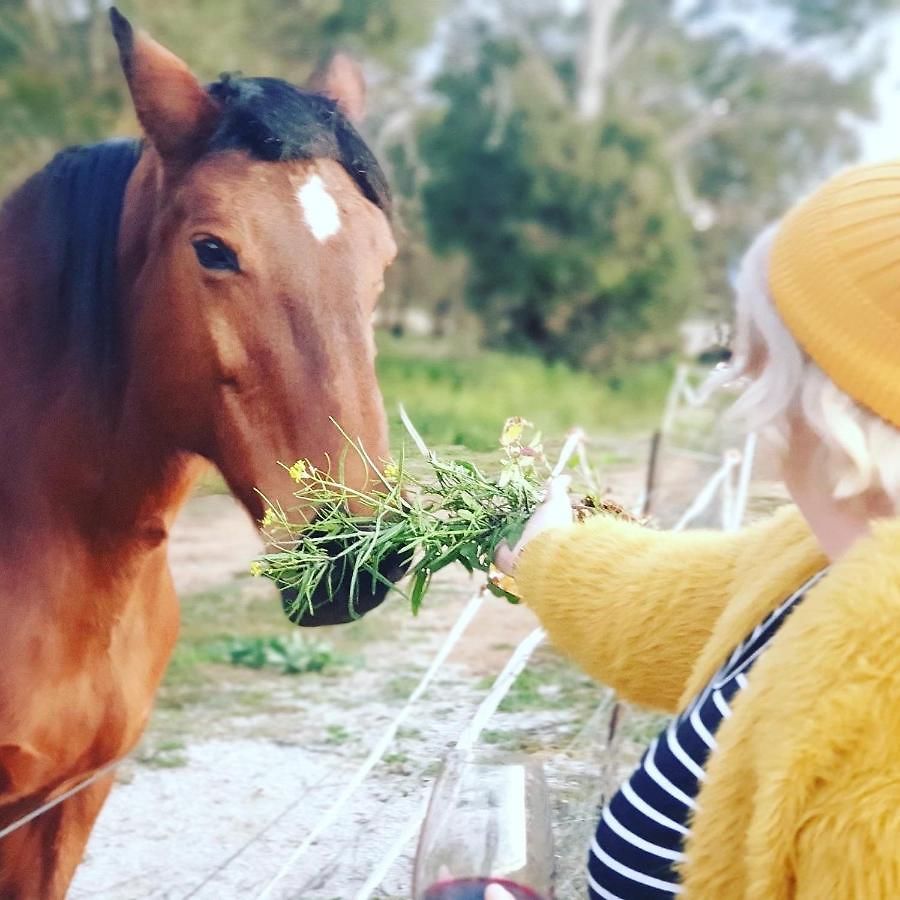 Shawwood * Mudgee