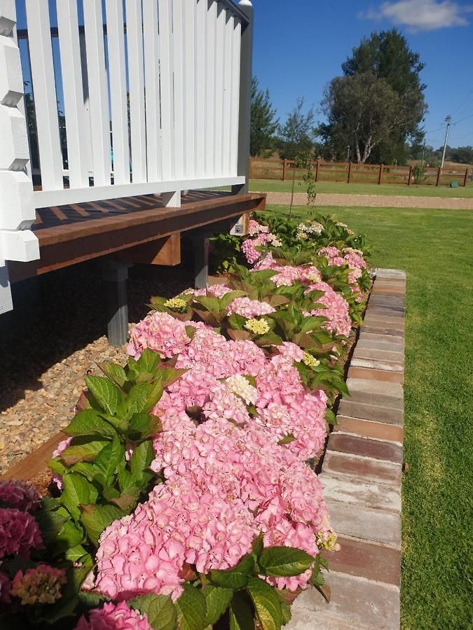 Dangerfield Oaks Boutique Cottage's *