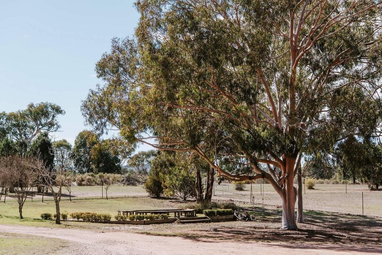 'wilpine' Poolside Country Luxury Near Town