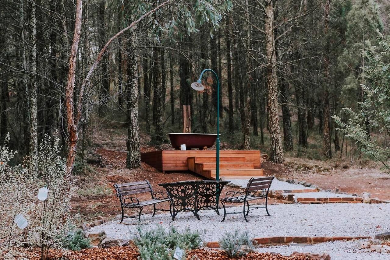 Budgee Budgee Farm - 33 Acres Of Pure Bliss *