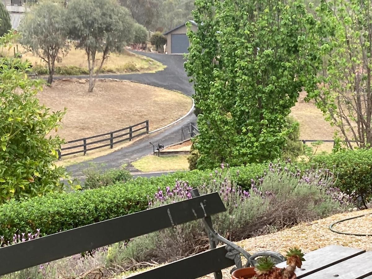 Midgee Mudgee