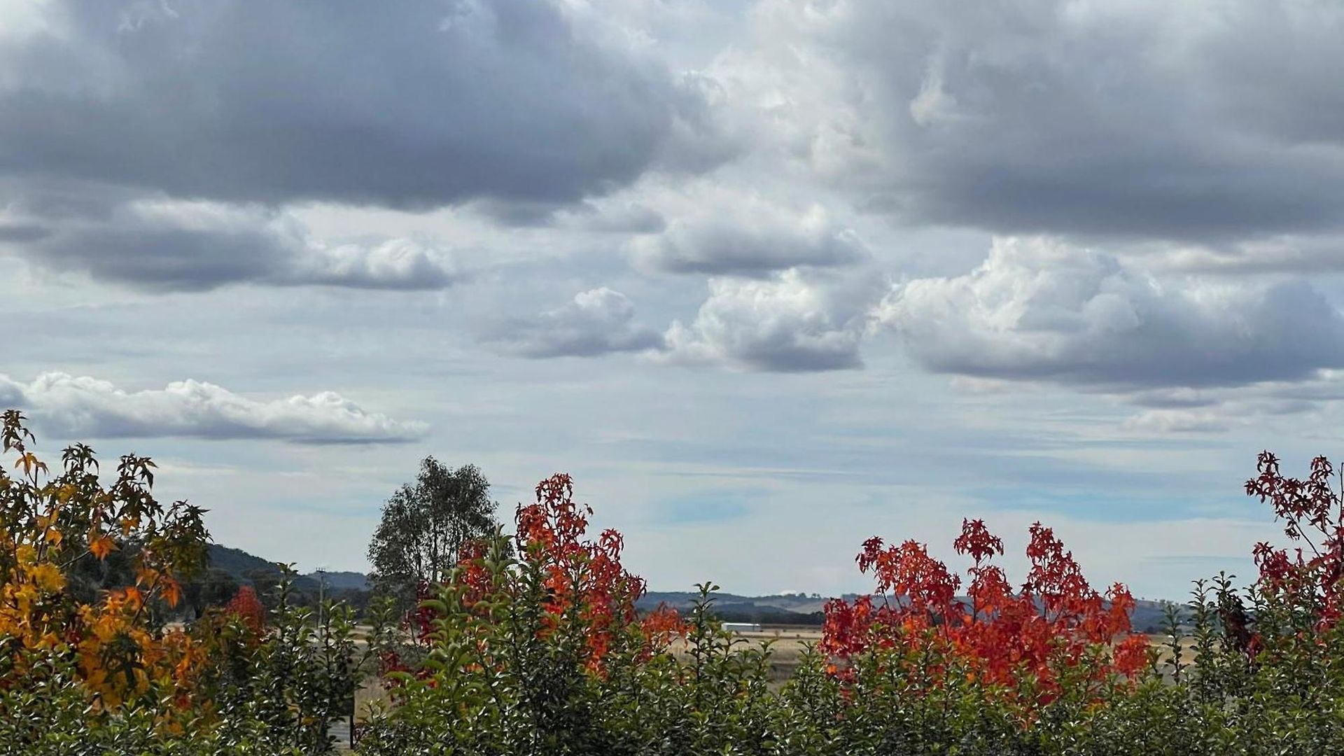 Guest house Mudgee Guesthouse 4*