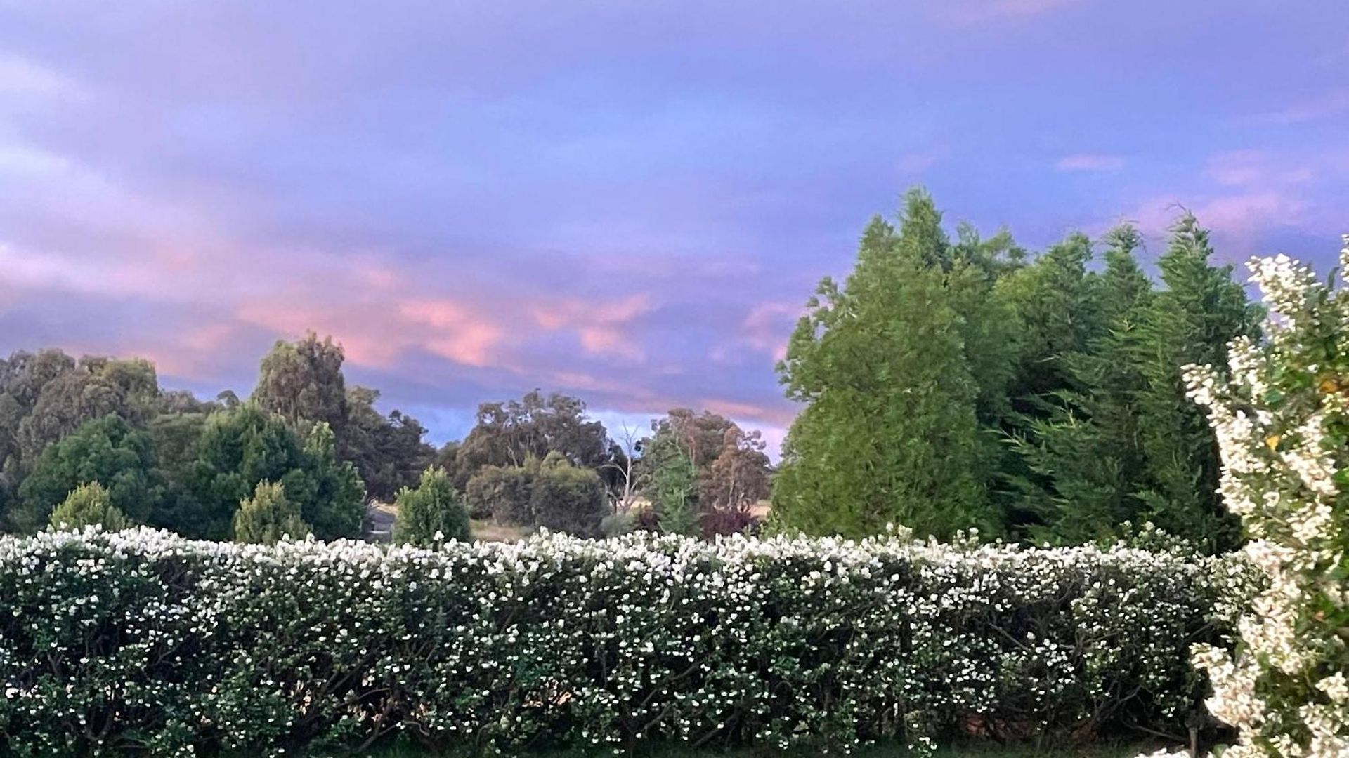 Mudgee Guesthouse Guest house 4*