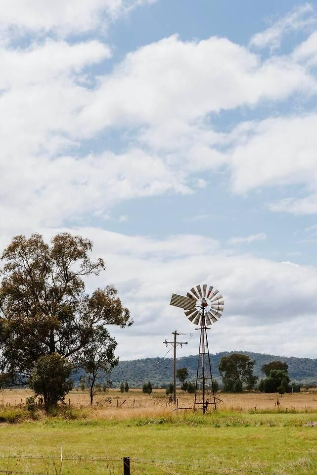 Anton Pavilion - Cheerful Country Solace In Mudgee