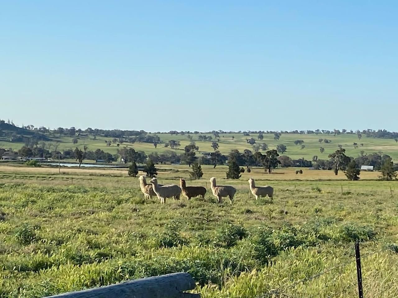 Ithaca Farm - Country View Seclusion * Mudgee