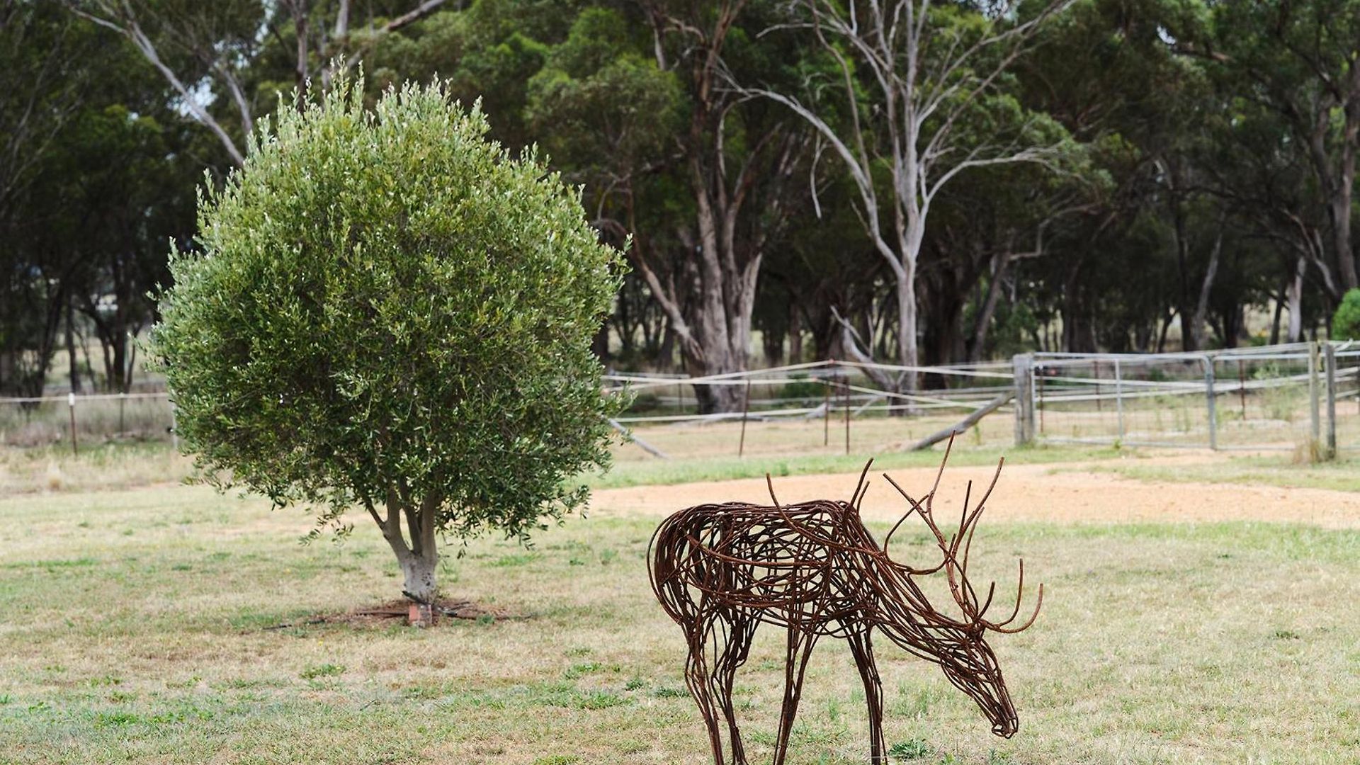 Villa Shawwood Mudgee
