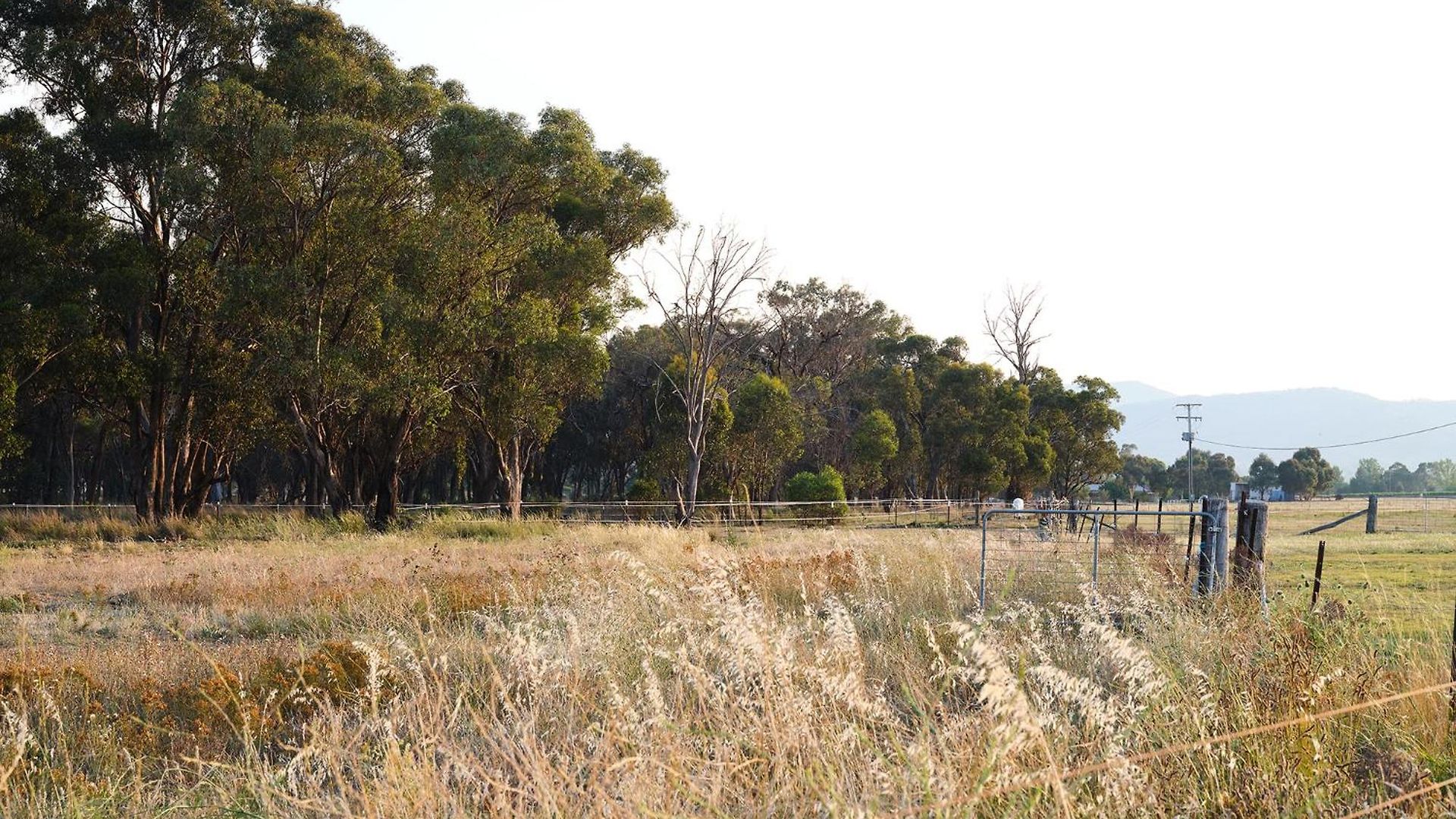 Villa Shawwood Mudgee