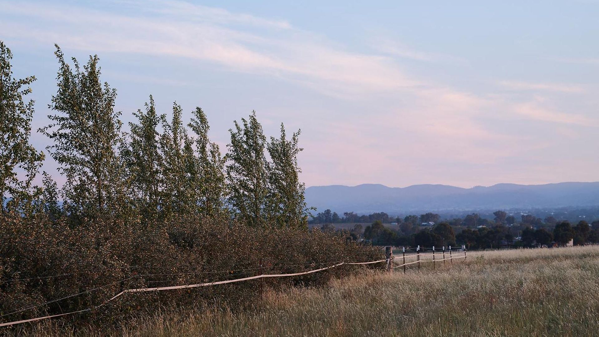Shawwood Villa Mudgee