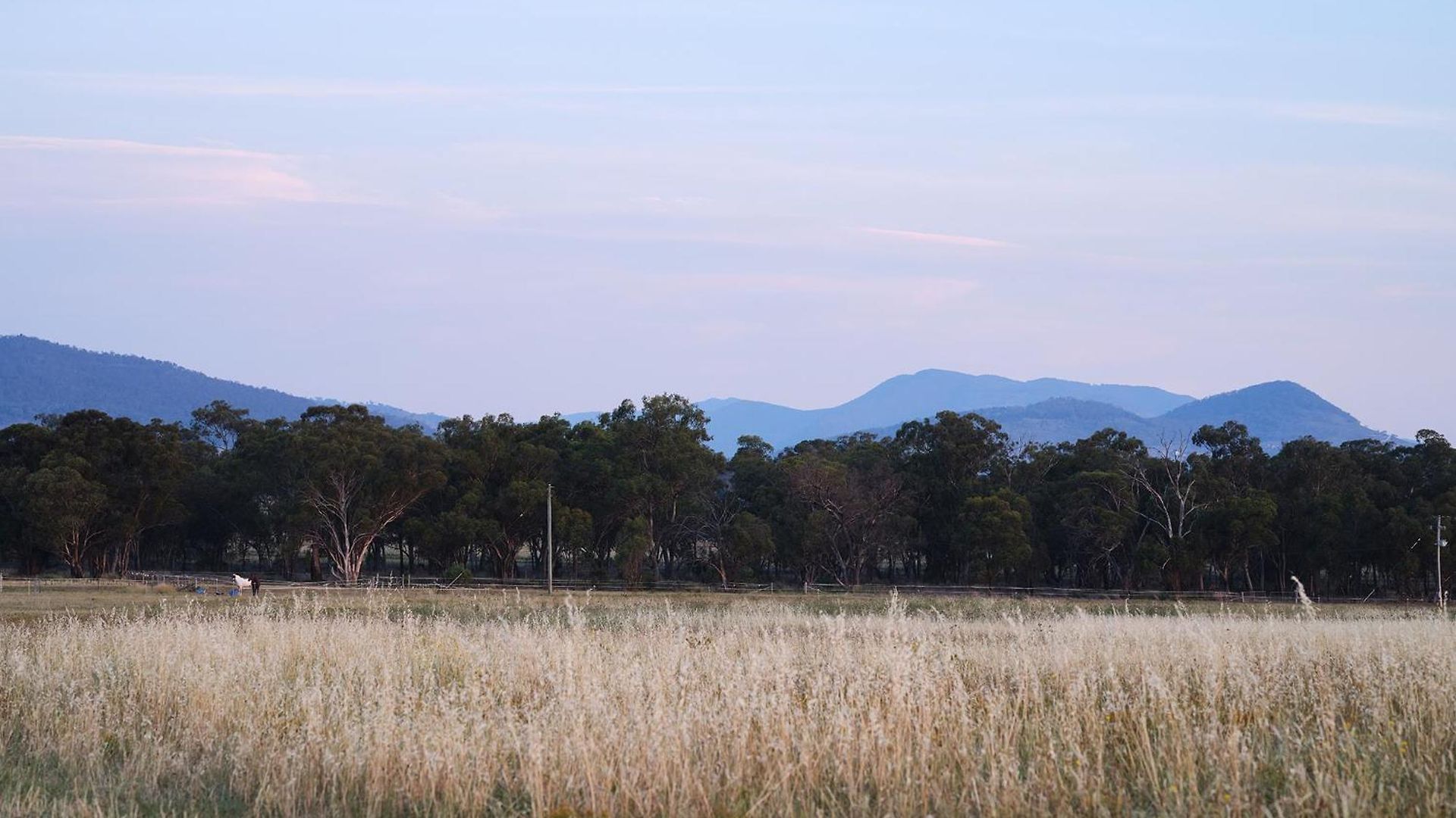 Shawwood Mudgee