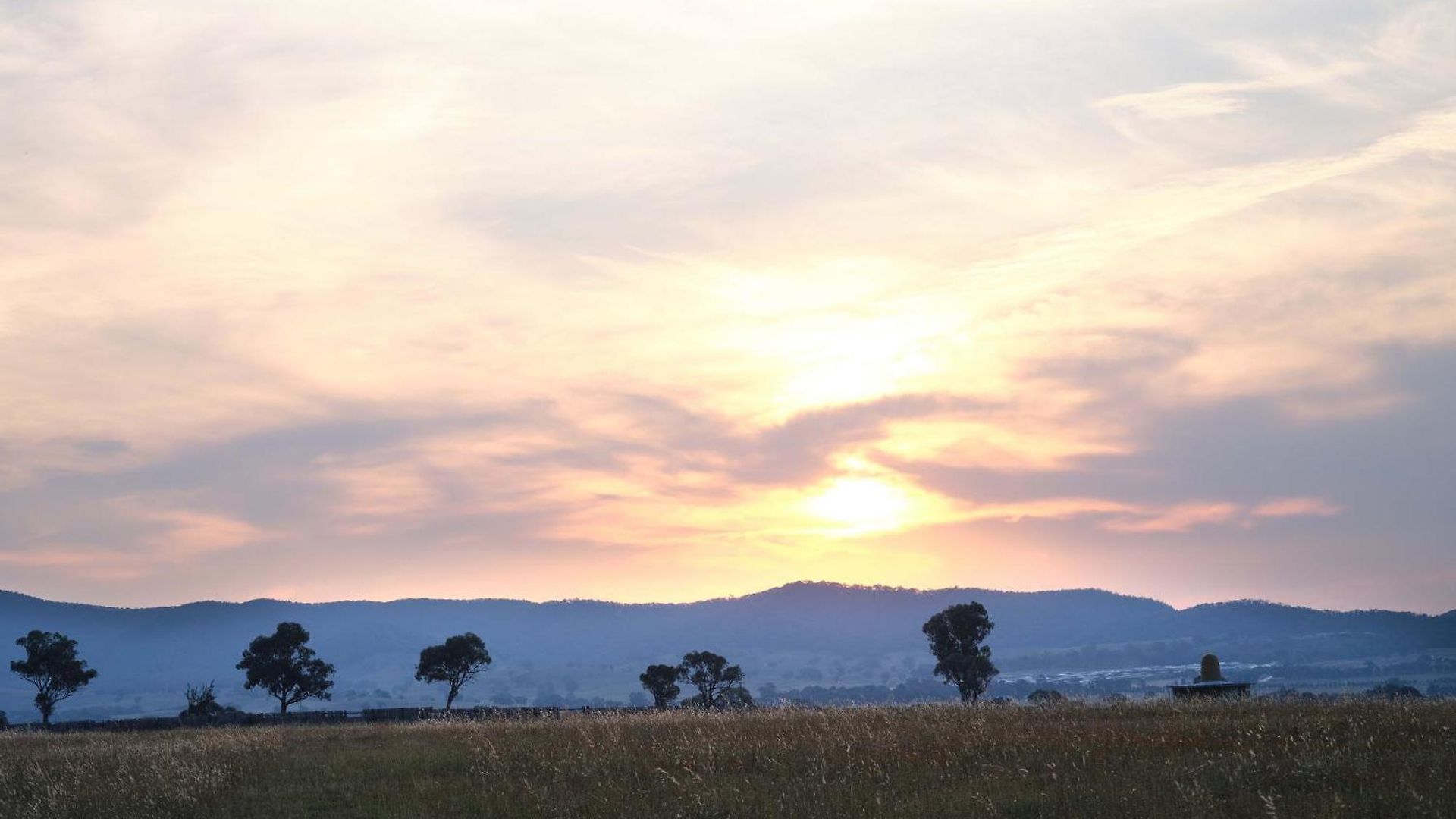 Shawwood Estate Mudgee
