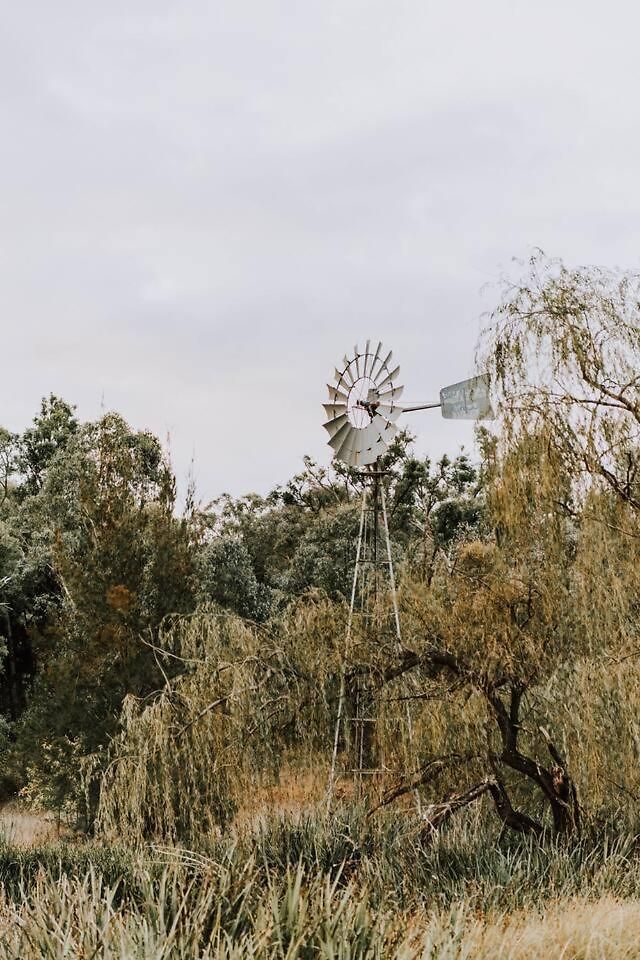 Budgee Budgee Farm - 33 Acres Of Pure Bliss *