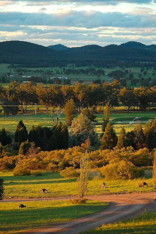 Homestead Homestay Mudgee
