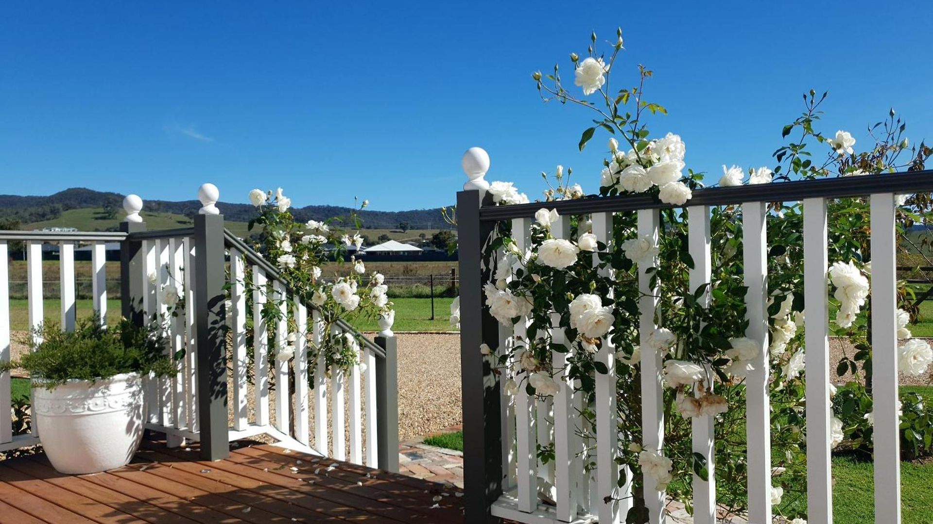 Dangerfield Oaks Boutique Cottage's *