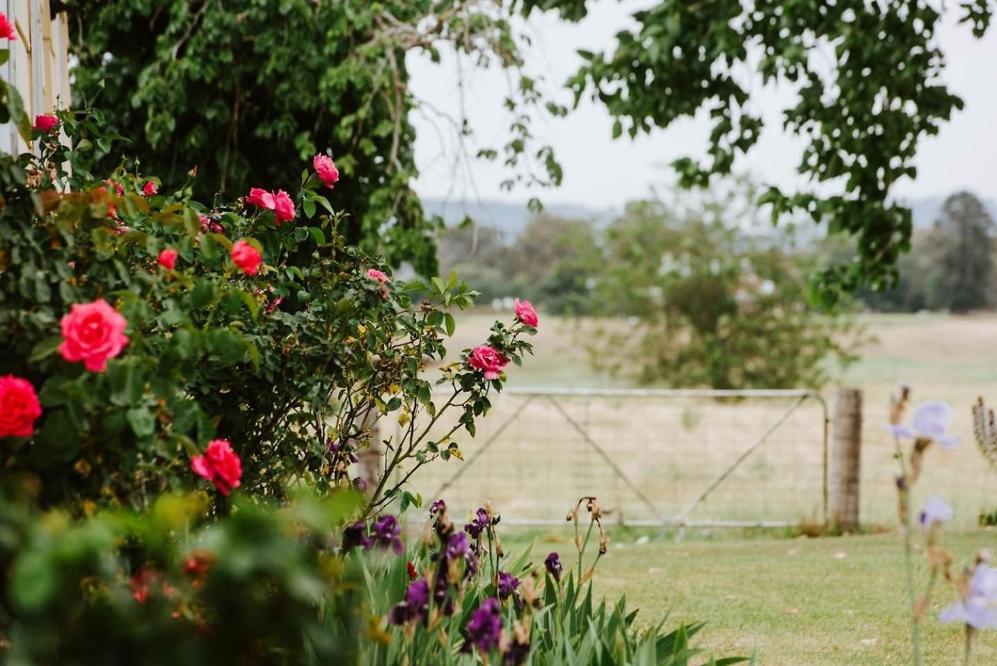 Holiday home Burrundulla - Tranquil Country Allure