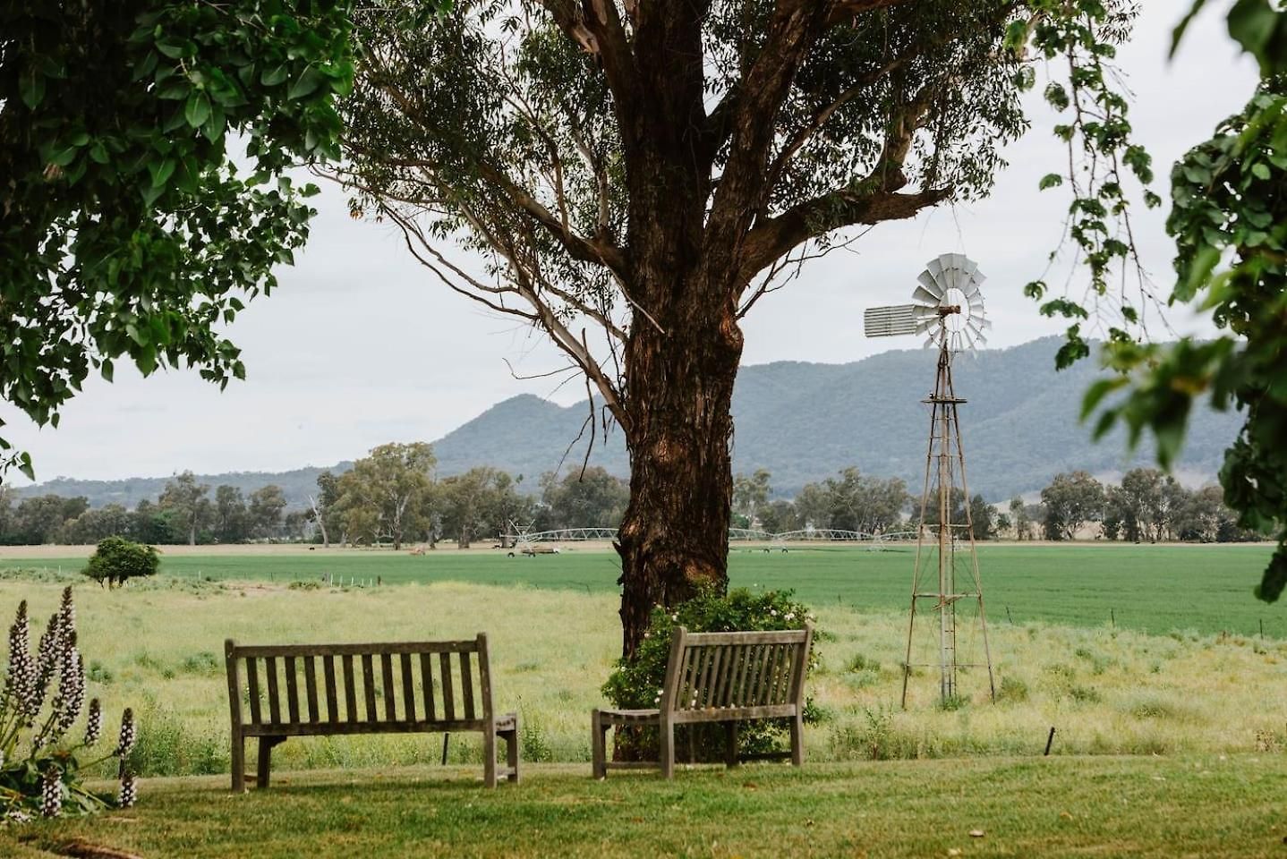 Burrundulla - Tranquil Country Allure * Mudgee