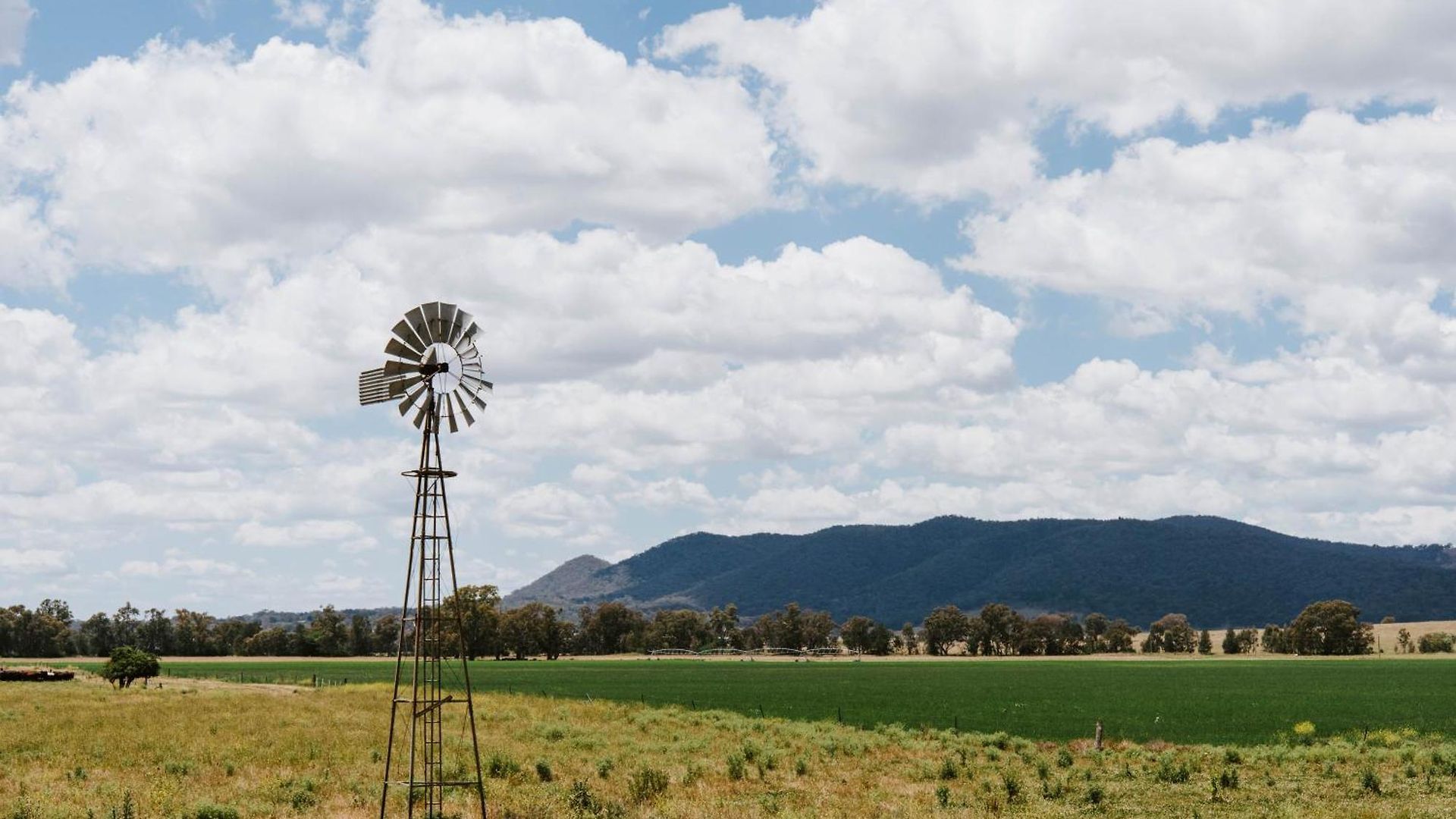 Burrundulla - Tranquil Country Allure