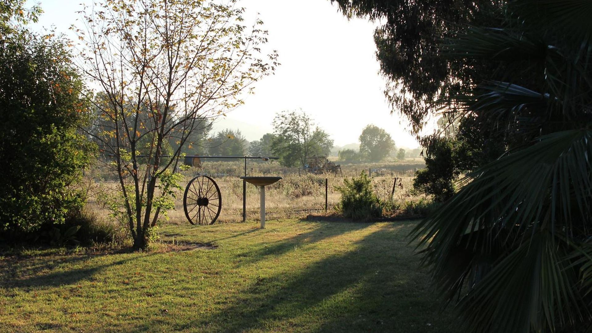 The Cudgee At