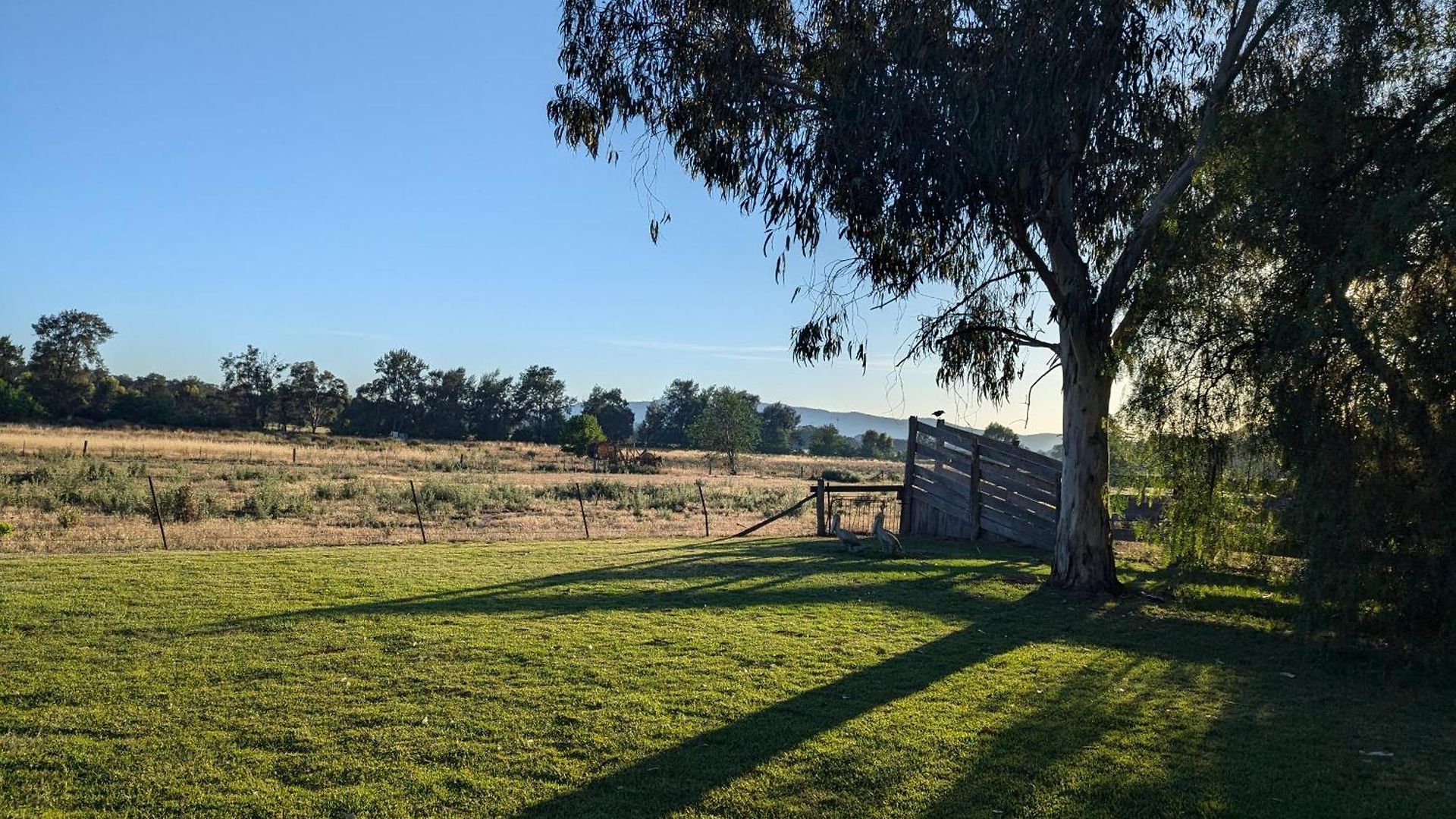 Motel The Cudgee At