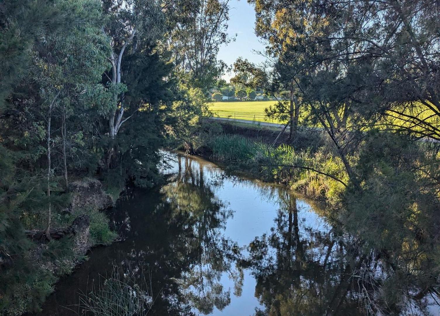 The Cudgee At