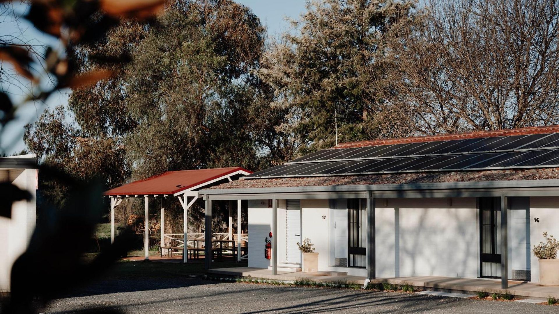 The Cudgee At