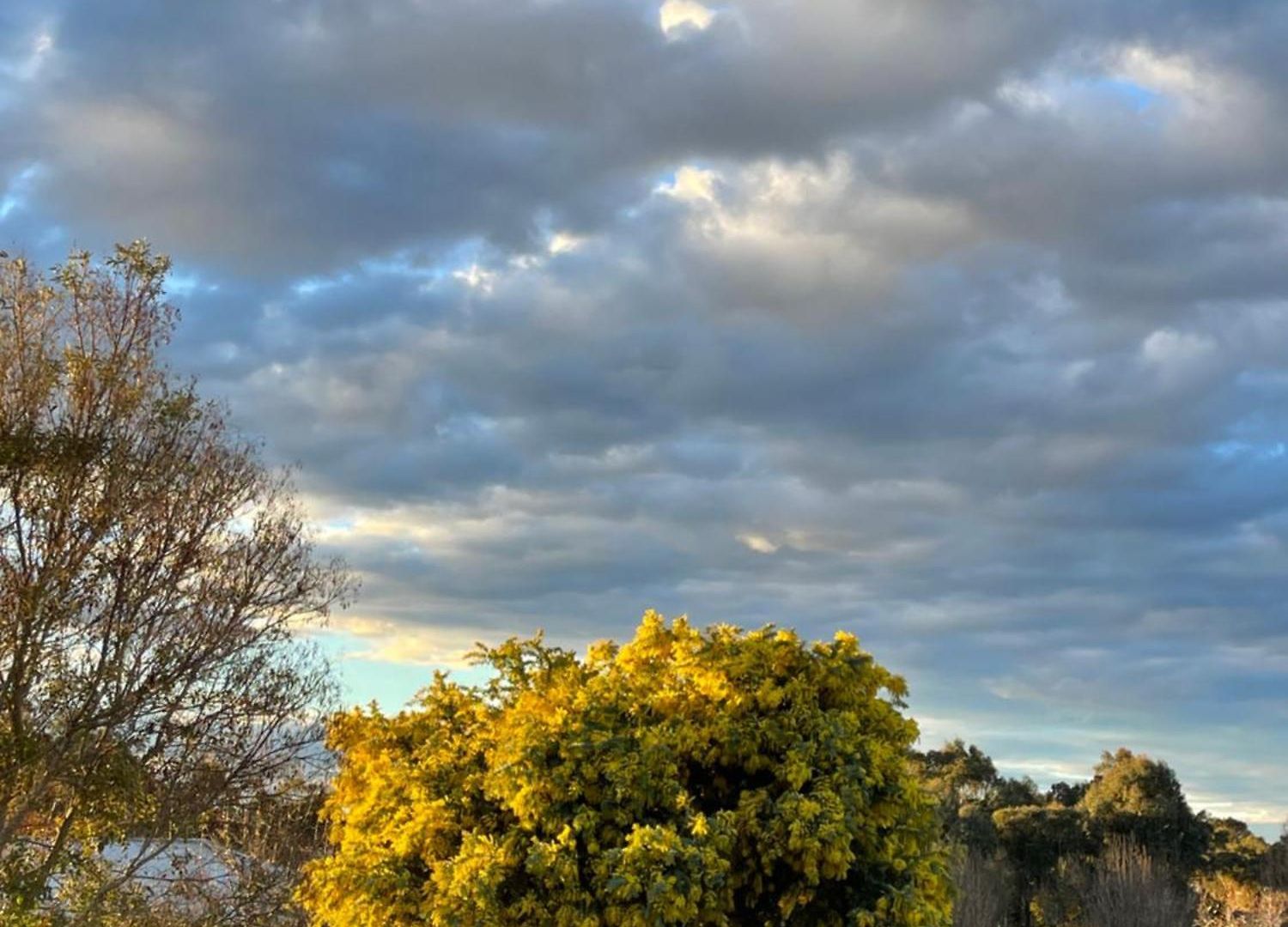 Mudgee Guesthouse Guest house Mudgee