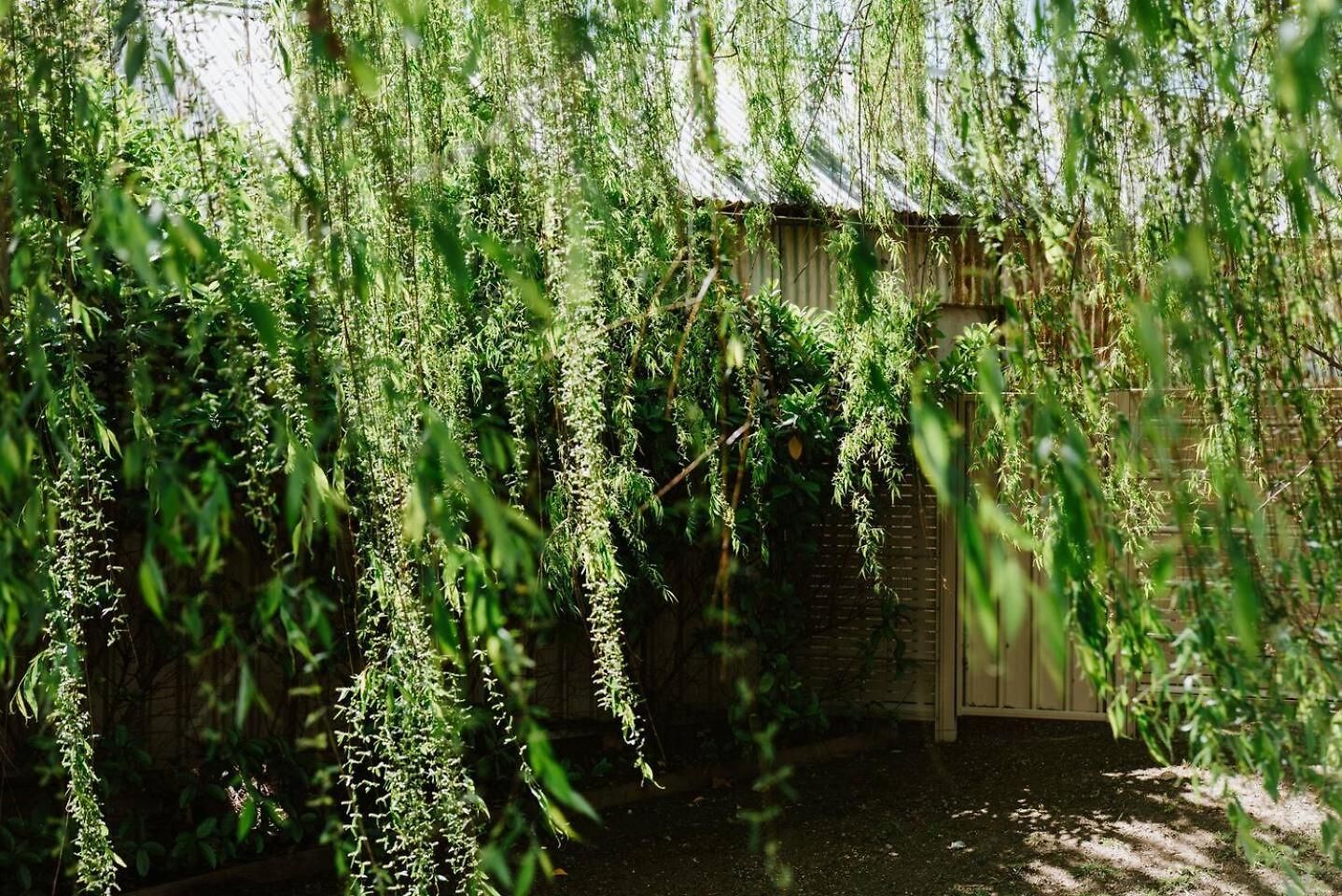 Denison At The Willows - Tranquil Country Retreat Holiday home