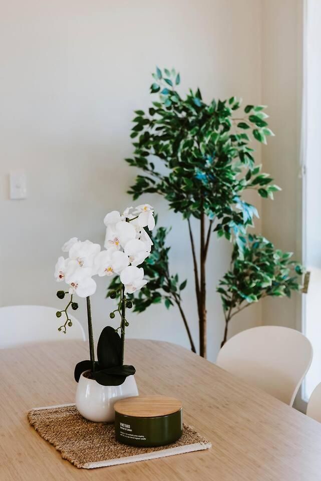 Riverlea At The Willows - A Family Country Getaway Mudgee