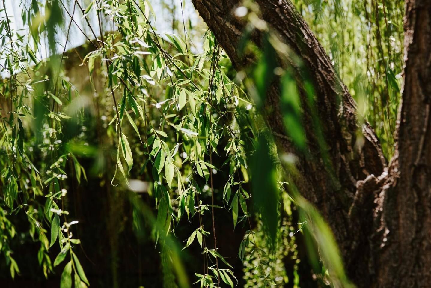 Riverlea At The Willows - A Family Country Getaway * Mudgee