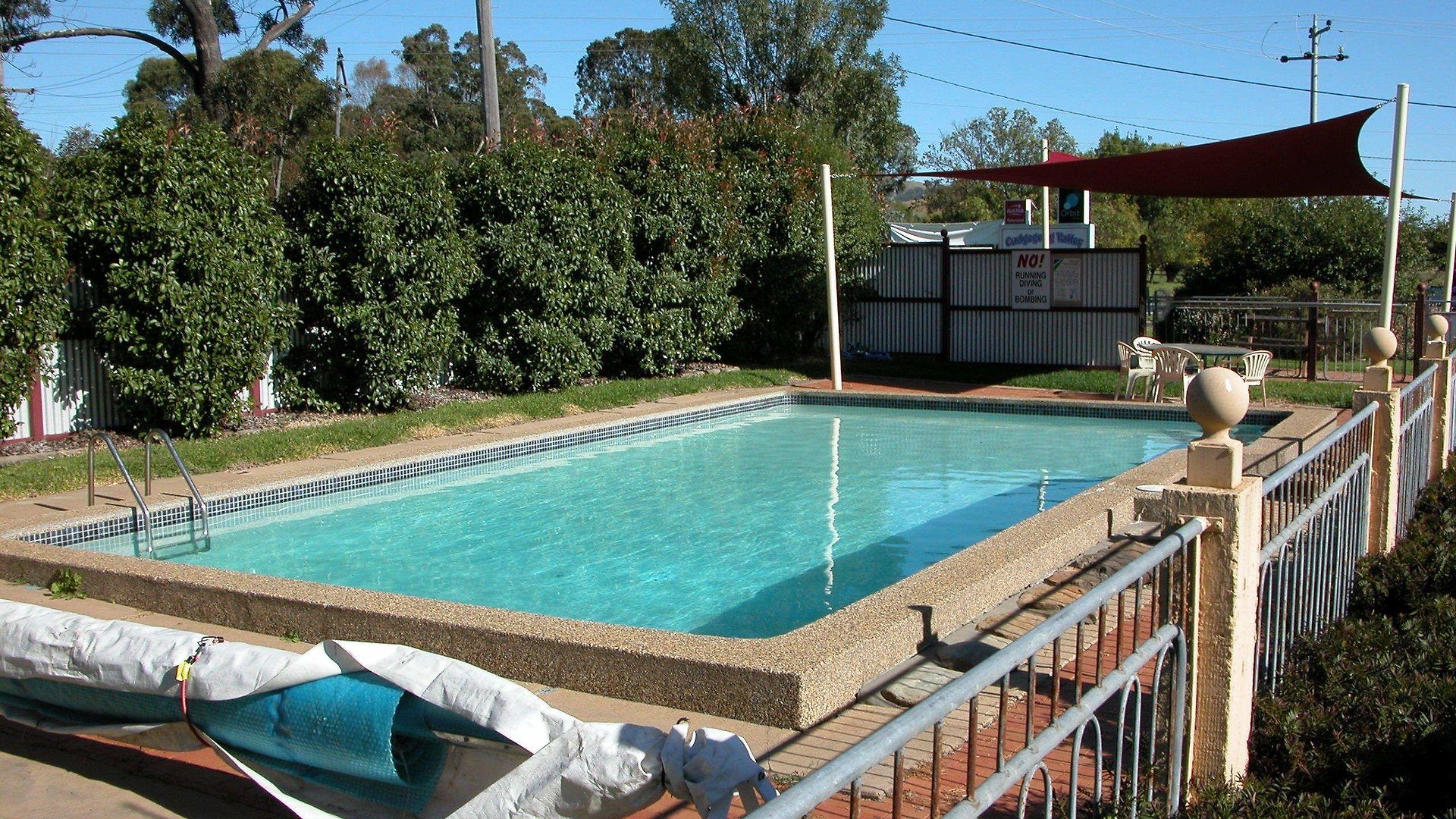 The Cudgee At